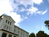 Herzballons überm Herrenhaus